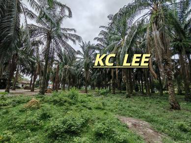 Agricultural Land in Padang Serai, KDH