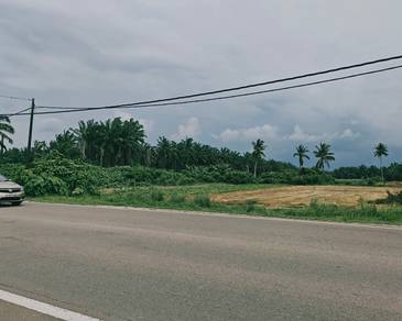 Residential Land in Kuala Rompin, PHG