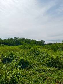 Agricultural Land in Arau, PLS