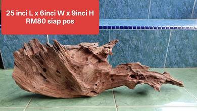 aquarium driftwood padu SOLID BODY