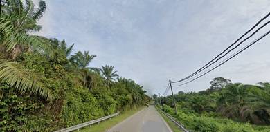 Agricultural Land in Gemas, NSN
