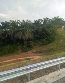 Agricultural Land in Raub, PHG