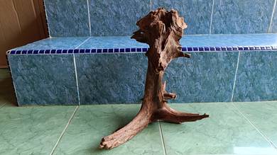 kayu aquarium driftwood akar