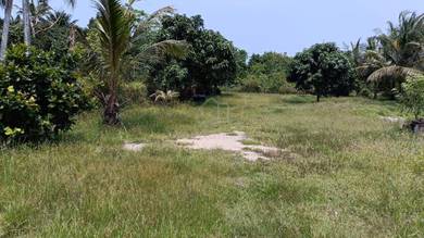 Agricultural Land in Kuala Linggi, MLK