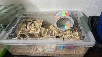 Hamster Cage