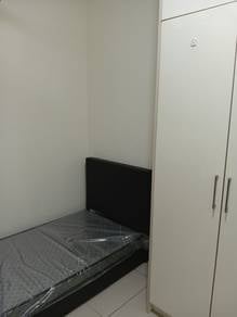 Room in OUG, KUL