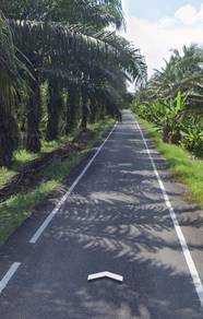 Residential Land in Ayer Baloi, JHR