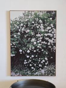 White Roses Poster 70×100cm