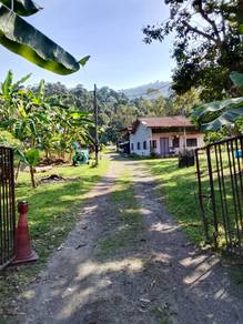 Agricultural Land in Balik Pulau, PNG