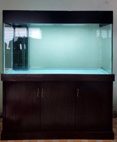 Aquarium 5 ft