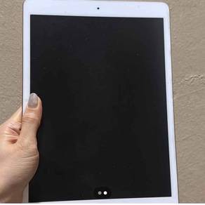 Ipad 8th gen