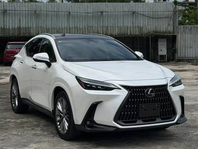 Lexus NX 250 LUXURY in Johor Bahru, JHR