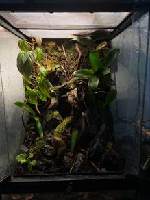 Terrarium