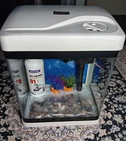 Akuarium Fish Tank