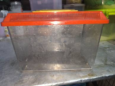 Aquarium kecik untuk ikan hiasan kecil