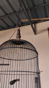 sangkar burung besi
