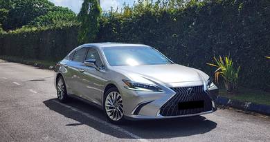 2021 Lexus ES 250 LUXURY