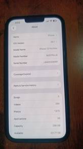 Iphone 13 pro max (256gb)