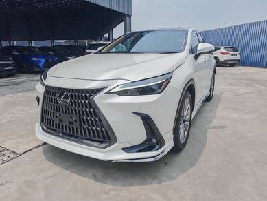 Lexus NX 250 LUXURY in Chan Sow Lin, KUL