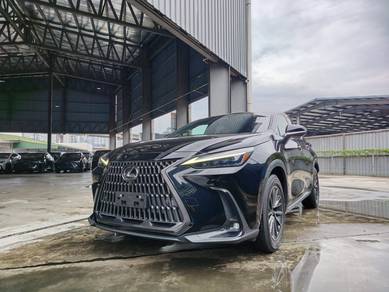 Lexus NX 250 LUXURY in Chan Sow Lin, KUL