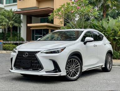 Lexus NX 250 LUXURY in Seri Kembangan, SGR
