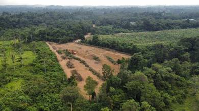 Residential Land in Temerloh, PHG