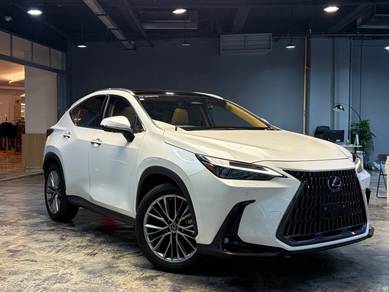 2023 Lexus NX 250 LUXURY