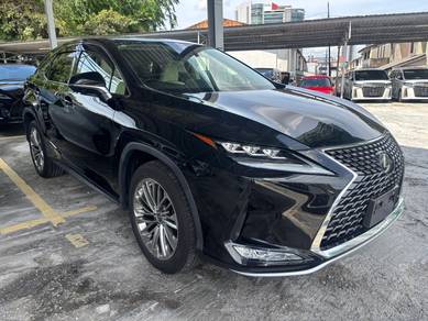 2021 Lexus RX 300 LUXURY
