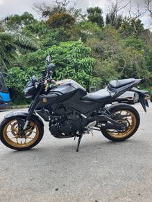 Yamaha MT250