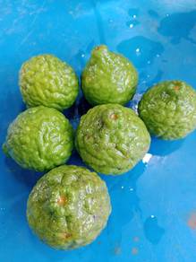 Buah limau purut