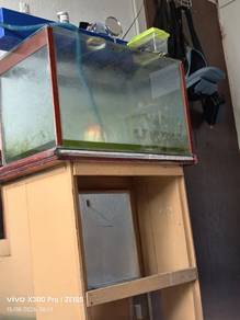 Aquarium ikan sekali filter