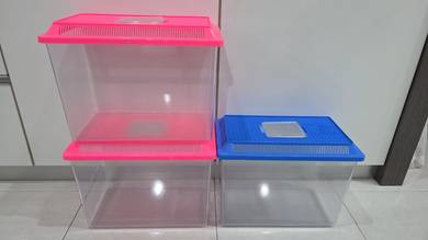 Aquariums for Sale