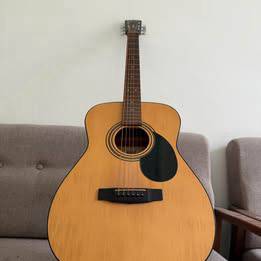 Guitar Cort AF510