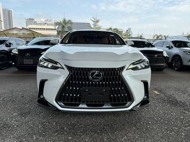 2023 Lexus NX 250 LUXURY