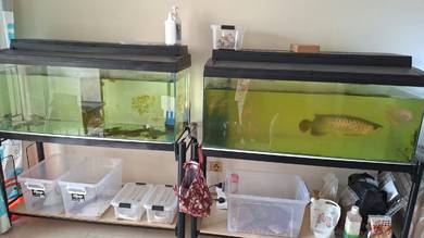 Fisk Tank Set 4kaki