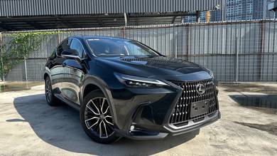 Lexus NX 250 LUXURY in Desa Petaling, KUL