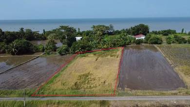 Agricultural Land in Kuala Perlis, PLS