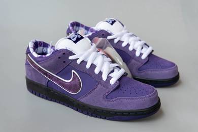 Nike SB Dunk Low Concepts Purple Lobster