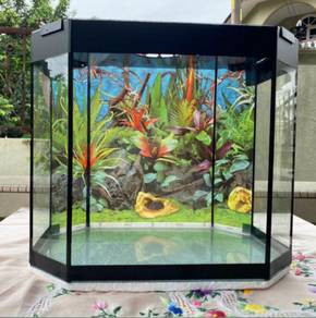 glass kaca new baru fish tank akuarium aquarium