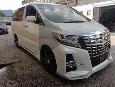 Toyota Alphard ANH10 Modelista Door Penal Bodykit
