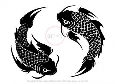 CFS66 High Quality Asia Koi Fish Ikan Berenang Dua