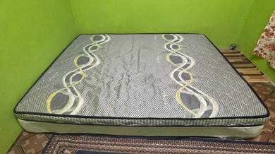 Tilam Queen 10inci