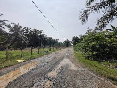 Agricultural Land in Klang, SGR