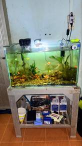 Full set aquarium dn ikan