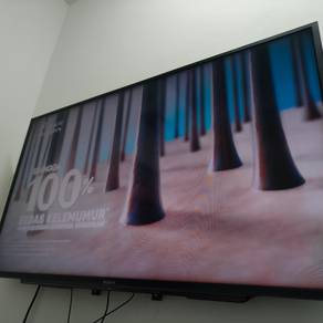 Sony 50 inch