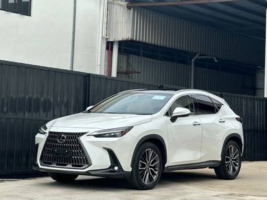 Lexus NX 250 LUXURY in Petaling Jaya, SGR