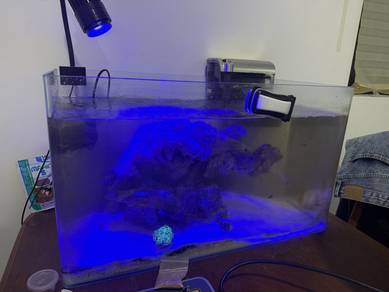Full set saltwater tank awuarium utk dijual