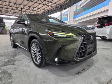 Lexus NX 250 LUXURY in Chan Sow Lin, KUL