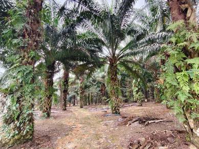 Industrial Land in Ulu Tiram, JHR