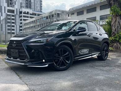 Lexus NX 250 LUXURY in Sungai Besi, KUL